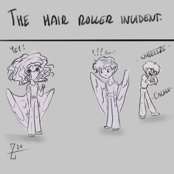 Hair-rollers.png