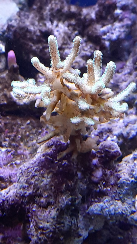 WhatsApp Image 2021-02-19 at 12.49.28 (3)