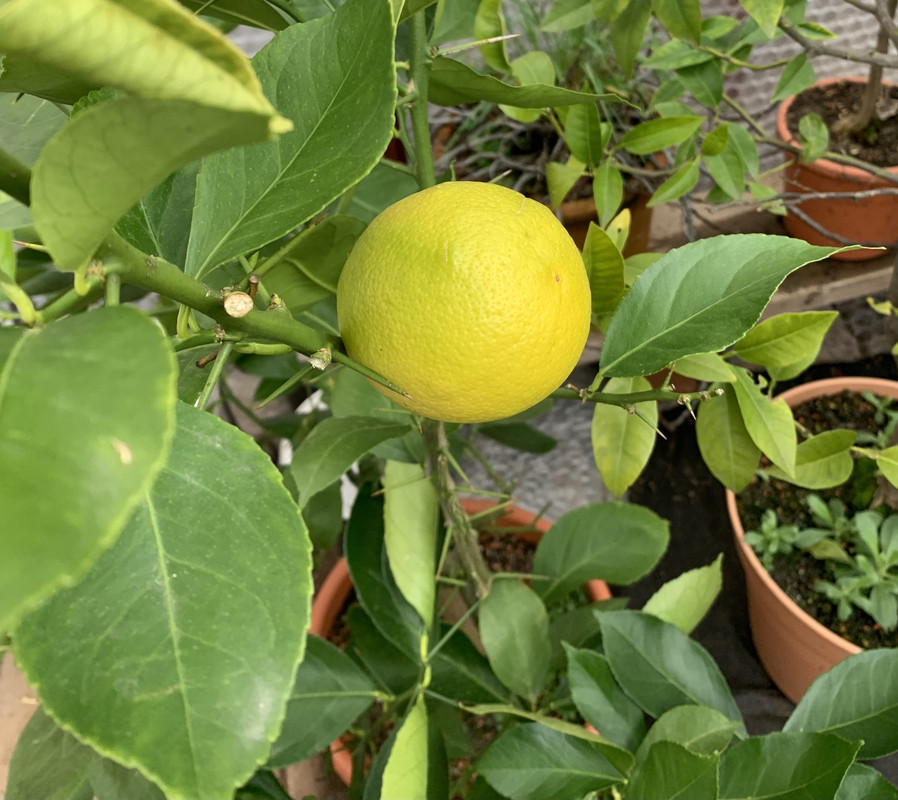 147B6FBB-D89B-40FF-A5A9-BA3DDCED0346