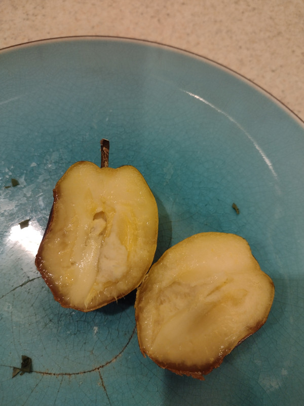 IMG_20230906_190857503