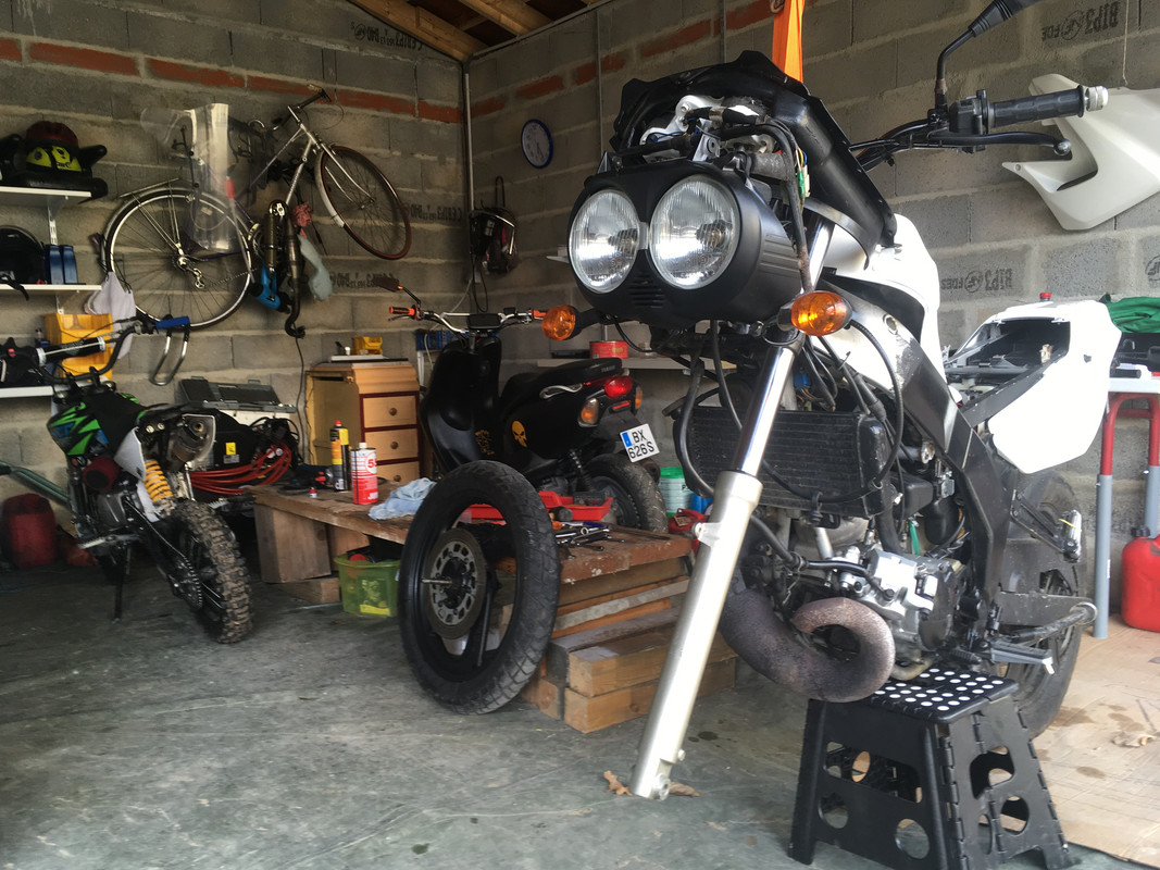 2018 03 fourche (18)