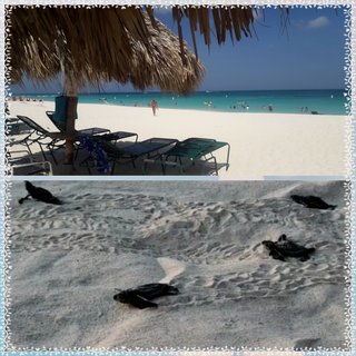 Viajar a Aruba (Caribe): alojamiento, qué ver y visitar... - Forum Caribbean: Cuba, Jamaica