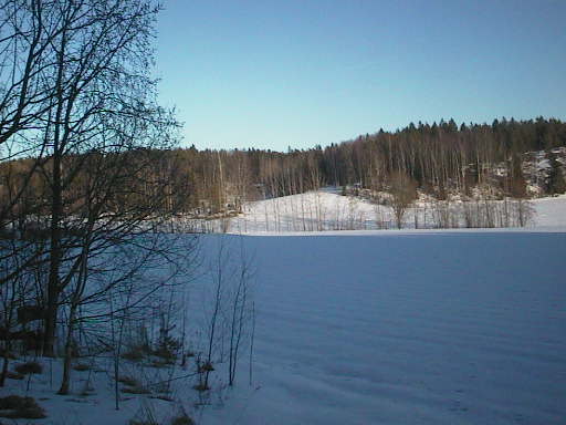 pävänlöytö 09032016raivattu metsa lahdesta keha 