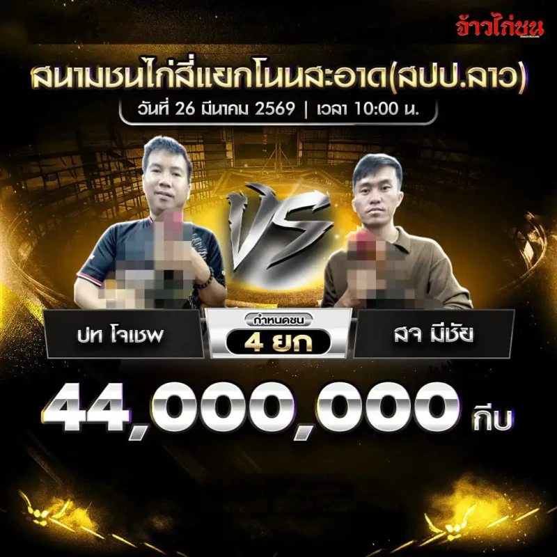 โปรแกรมไก่ชน คู่ ปท โจเชพ vs สจ มีชัย สนามชนไก่สี่แยกโนนสะอาด 26 มีนาคม 2569