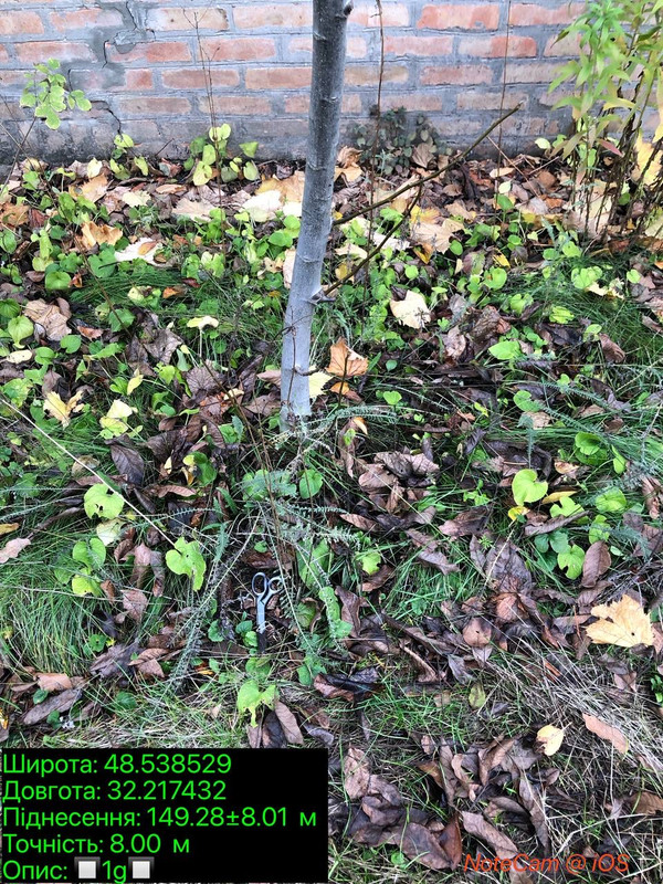 FF4ED2F6 8646 41E7 86FD E341D3A60CAA