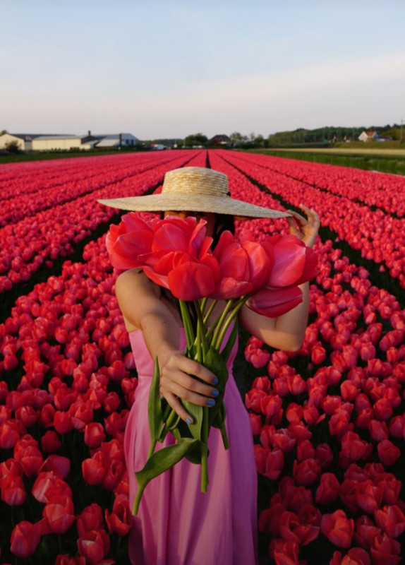 Screenshot_20240603_222204_Pinterest