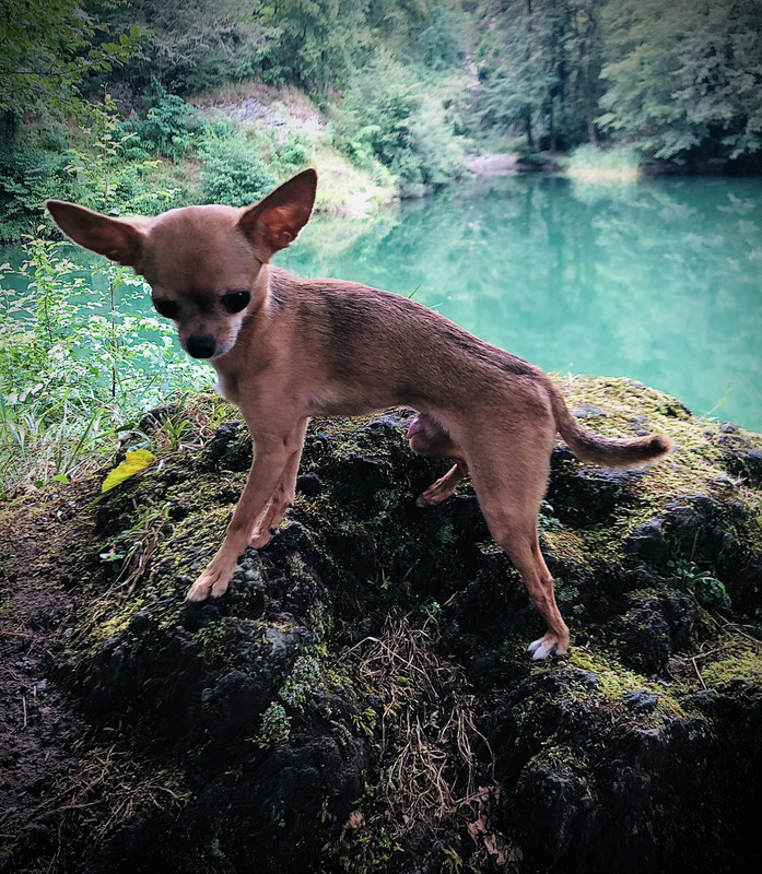 34298FC7-64F5-4B6F-9806-B20305E81FCE