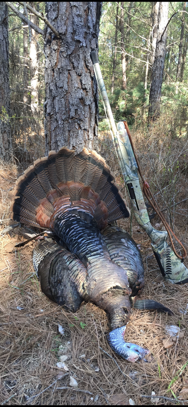 AF60B1BB-EA40-4734-BDD0-4A1C819C38DD