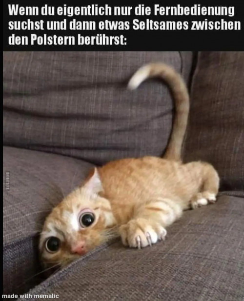 thumbs-picdump950-027.jpg