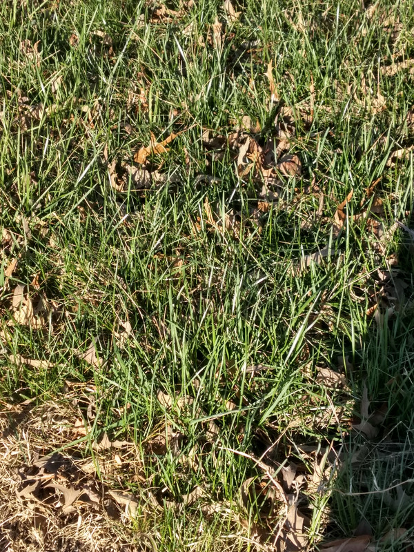 IMG_20180302_163243198_HDR