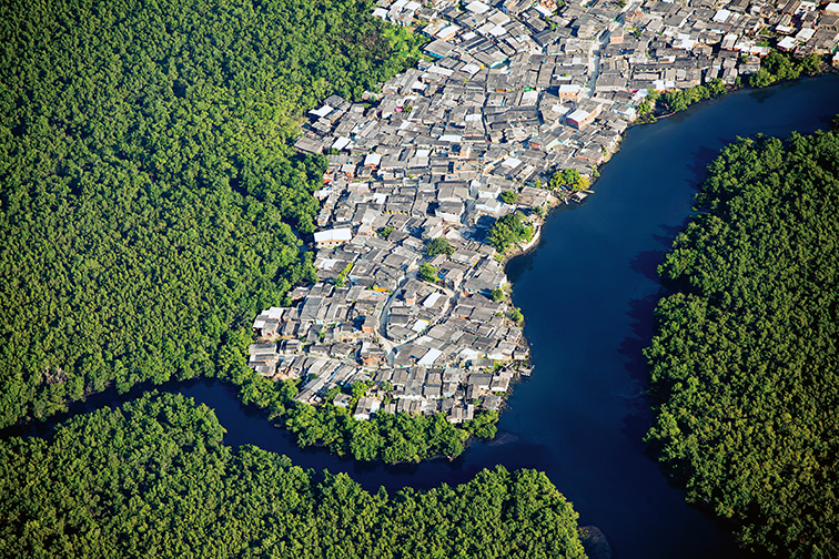 Cópia de 03_Avanço de construções urbanas sobre áreas de Mata Atlântica em São Paulo_Foto_ Érico Hi