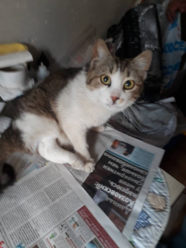 D1C25F77-41CE-4980-9968-0F4B86E441B8