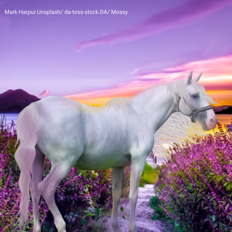 Untitled205-20220819181627.png