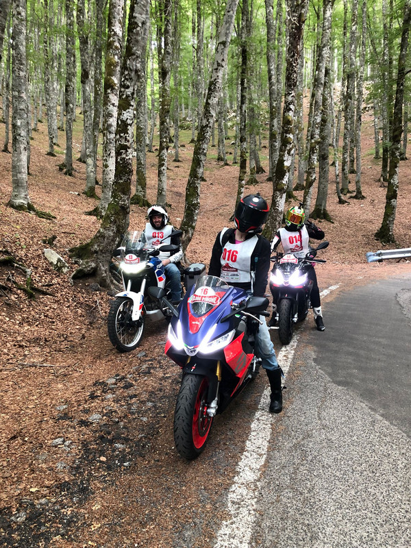 AE52C29B-E66E-484E-8137-054B3BAF5CA3