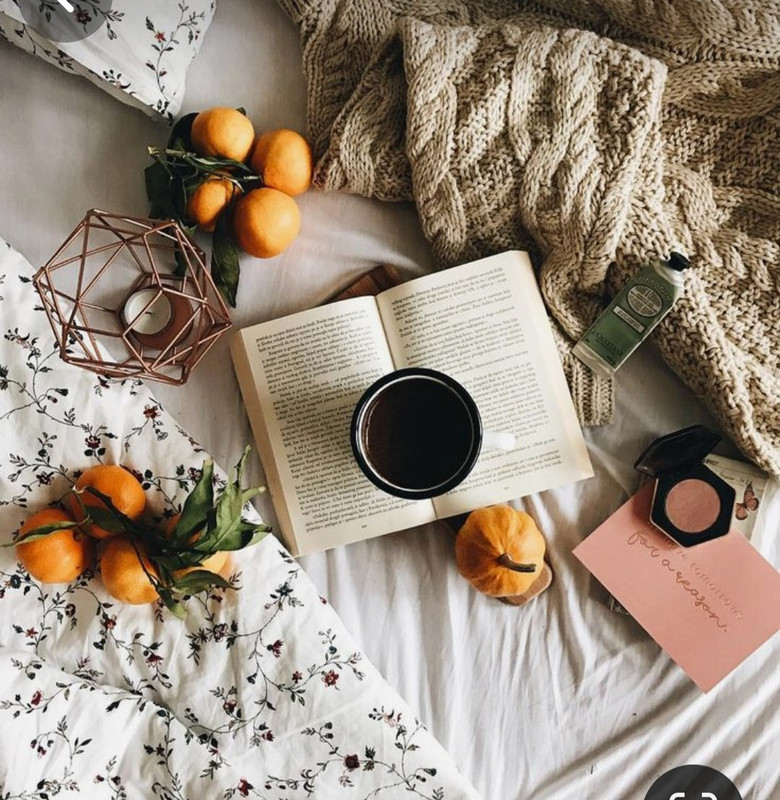 Screenshot_20230909_011011_Pinterest