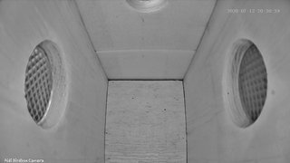 202007122058261594583906687 (1)