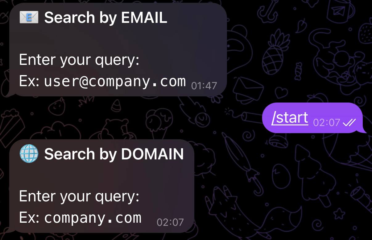 photo 2026 03 06 02 20 47