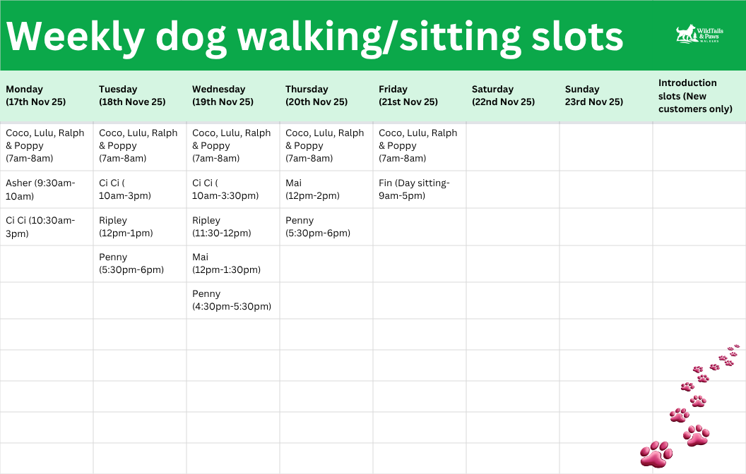 Weekly Dog Walking & Sitting Slots
