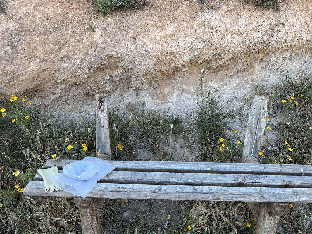 FFDCBBE7-9B34-45DA-8EEE-CA38575D0A90