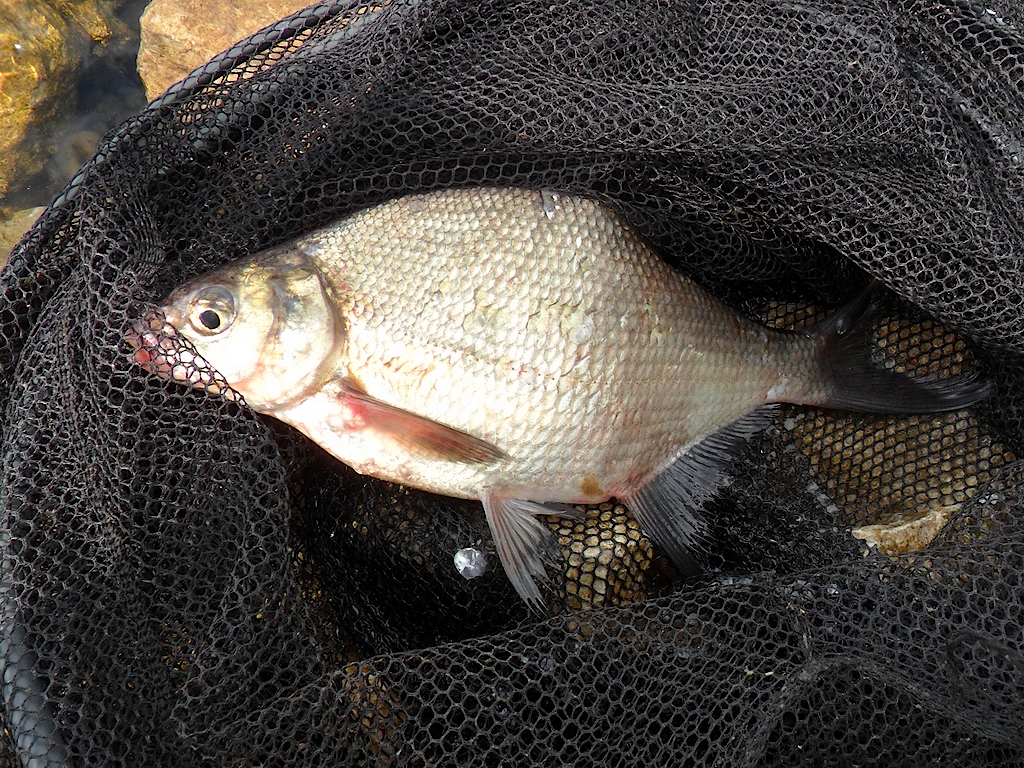 Чуса 13.07.13 02