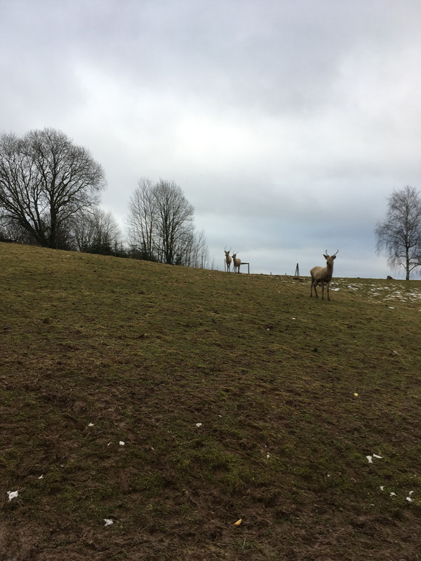 926F207C-E83C-42BD-8A06-699023861DDF