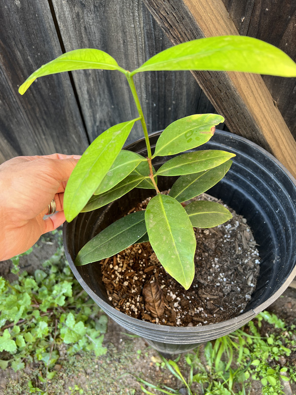 AE8DD934-FB1E-40CF-9116-545D02DA2AFF