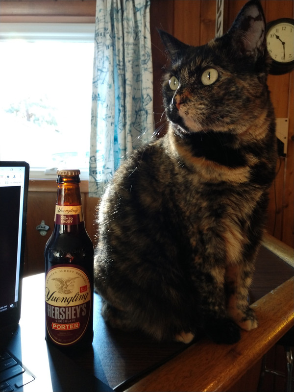 Turtleporter