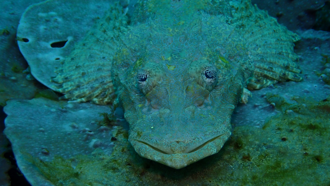 8C6CA7EF-9E7A-4996-8031-BF949348A542