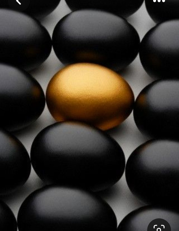 Screenshot_20230702_184451_Pinterest