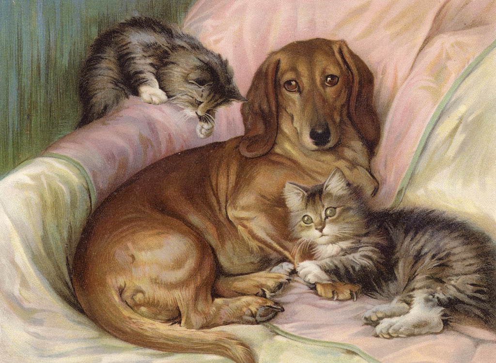 Fannie-Moody-Playmates-dog-and-two-cats-sitting-on-a-sofa-colour-litho-Meister-Drucke-994241