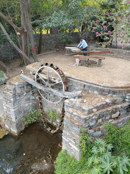 https://i.postimg.cc/QCqdg43y/Ranakpur-(124).jpg