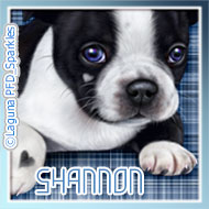 Shannon