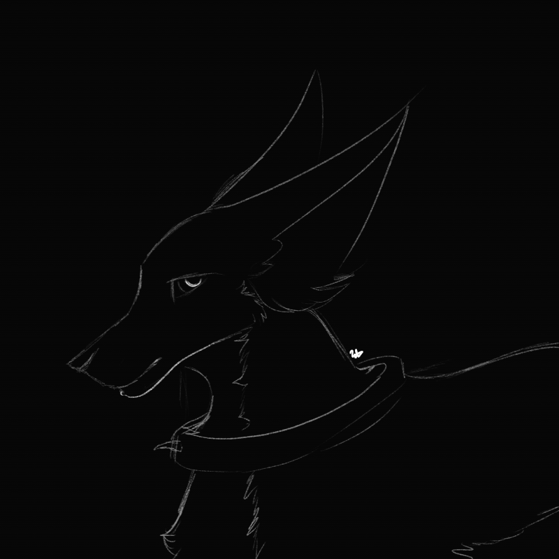 IMG-0778.gif