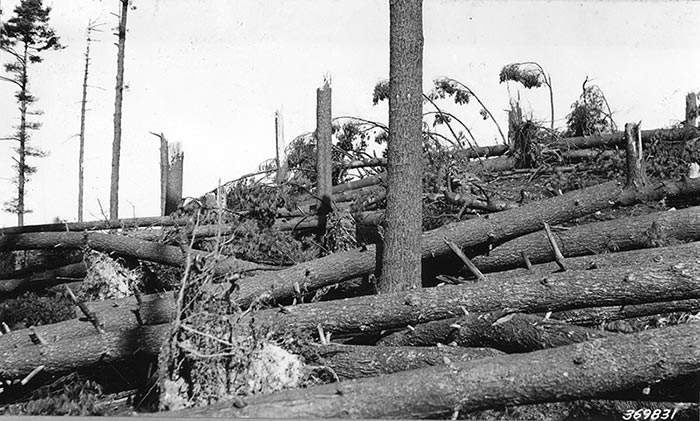 hurricane_3_700_421_65