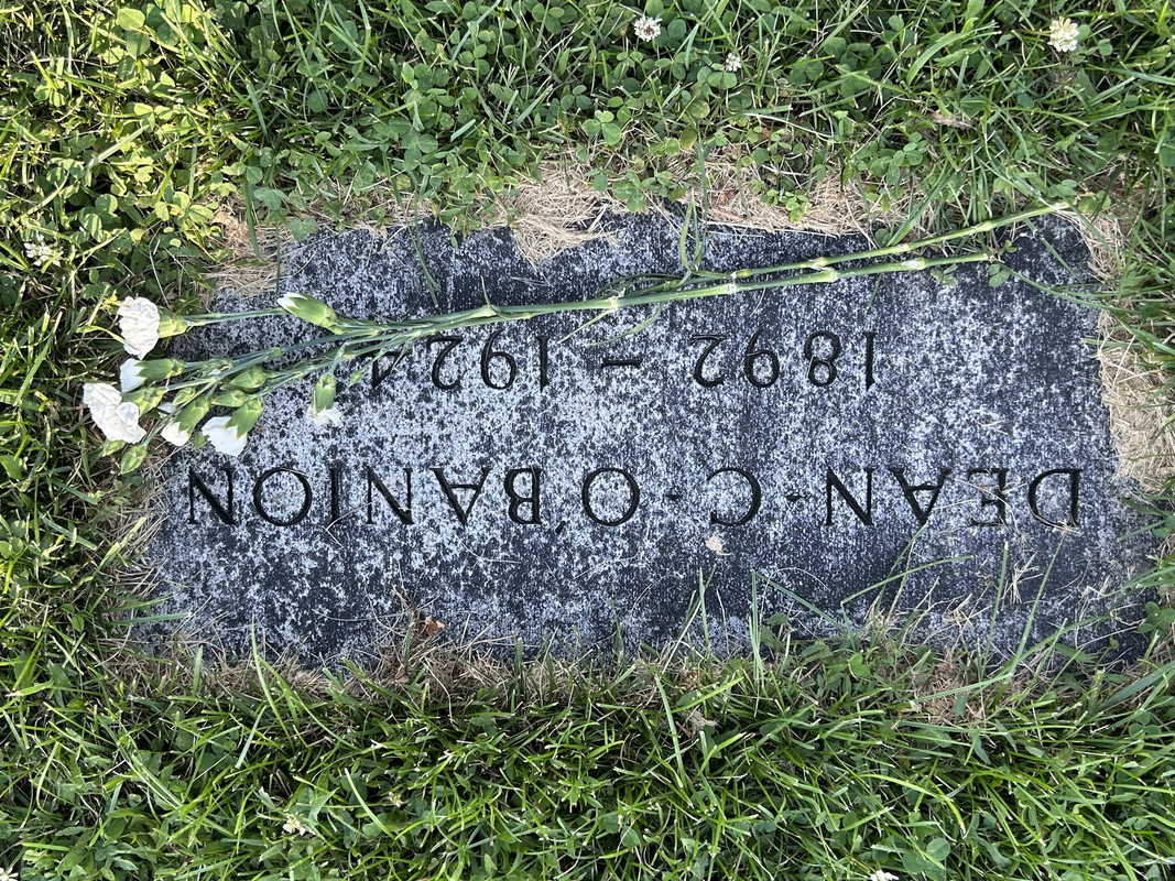 6C329ED8-1109-4F1C-856D-B0E126700BC0