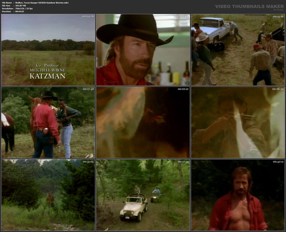 Walker, Texas Ranger S03E06 Rainbow Warrior.mkv