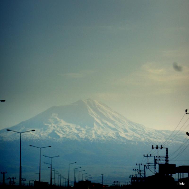 1-DSCN7241
