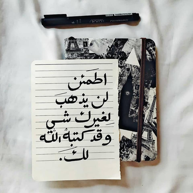 ���� ���� ������ �� ���� ������