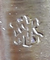 C 5 (Nôtre boîte) 1