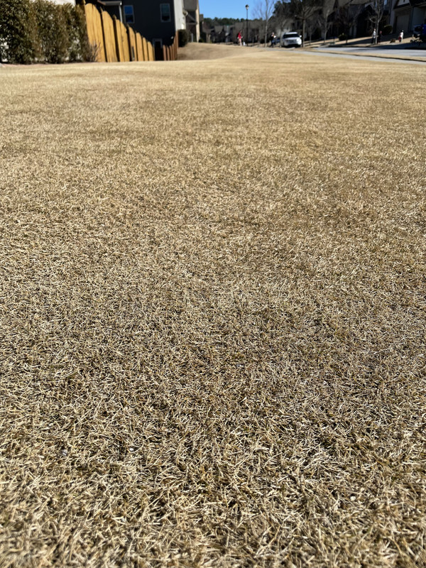 EA9066A9-740F-42AB-AAF3-F0A2C81F9AA3