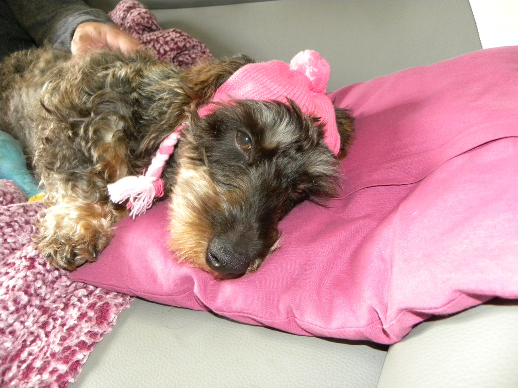 [Image: DSCN9431.jpg]