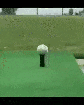 GIFs-17