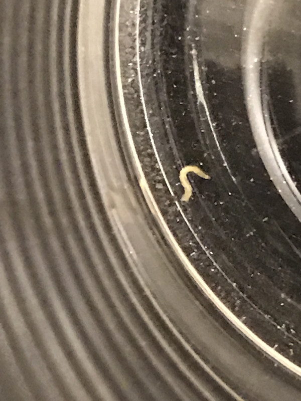 8B7715D0-709E-4D11-8FBC-F6C08D05B47A