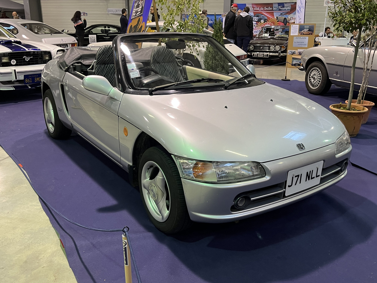 [Image: IMG_3321.jpg]