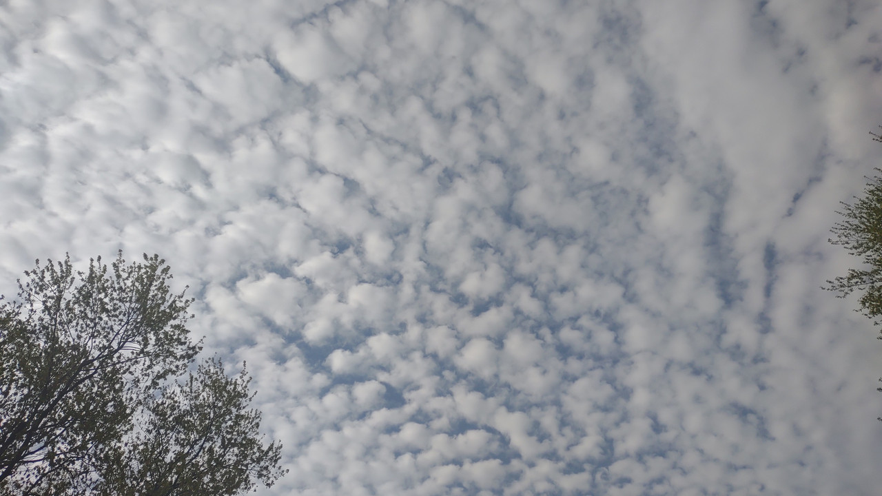 IMG_20250510_094907588