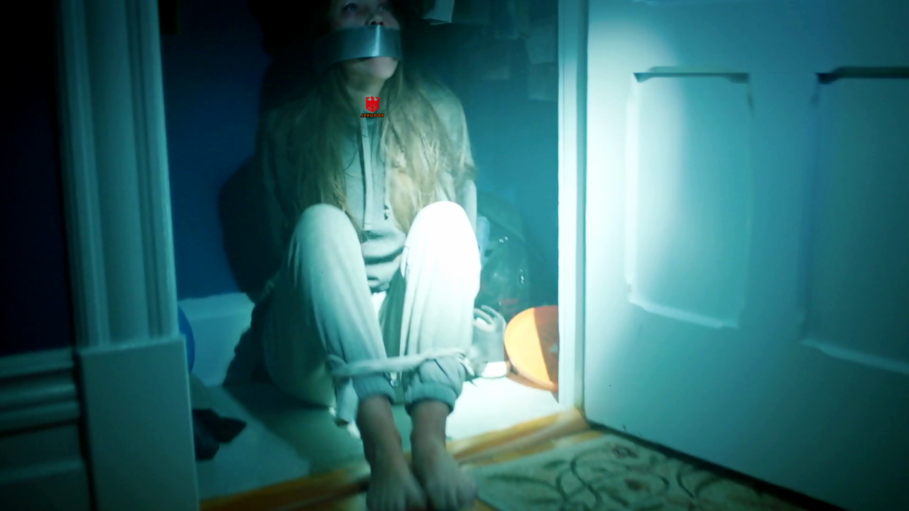 Sophia Carriere 13 Girl in The Attic 2025