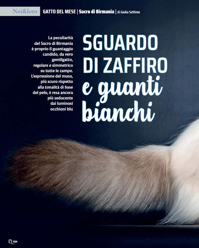 QuattroZampe Set 2022 (9)