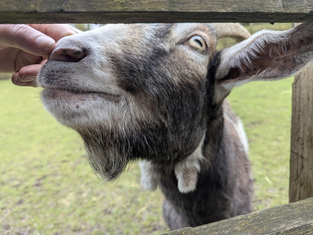 PXL_20250202_123953381