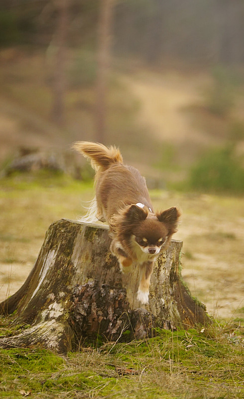 Lumii_20210309_195938269