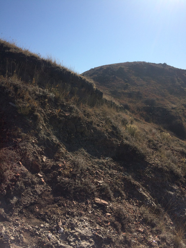 A18D6DBE-EA40-4B59-82A7-11C40C00E094